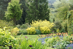 Picture of seasonal borders,mature shrubs and trees Dorothy Clive Garden