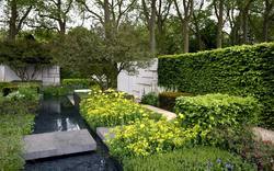 Picture of Chelsea 2015 Marcus Barnett Mondrian inspired garden
